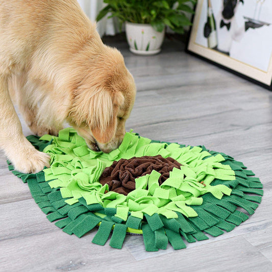 Snuffle Mat — The 15-Minute Anxiety Reset