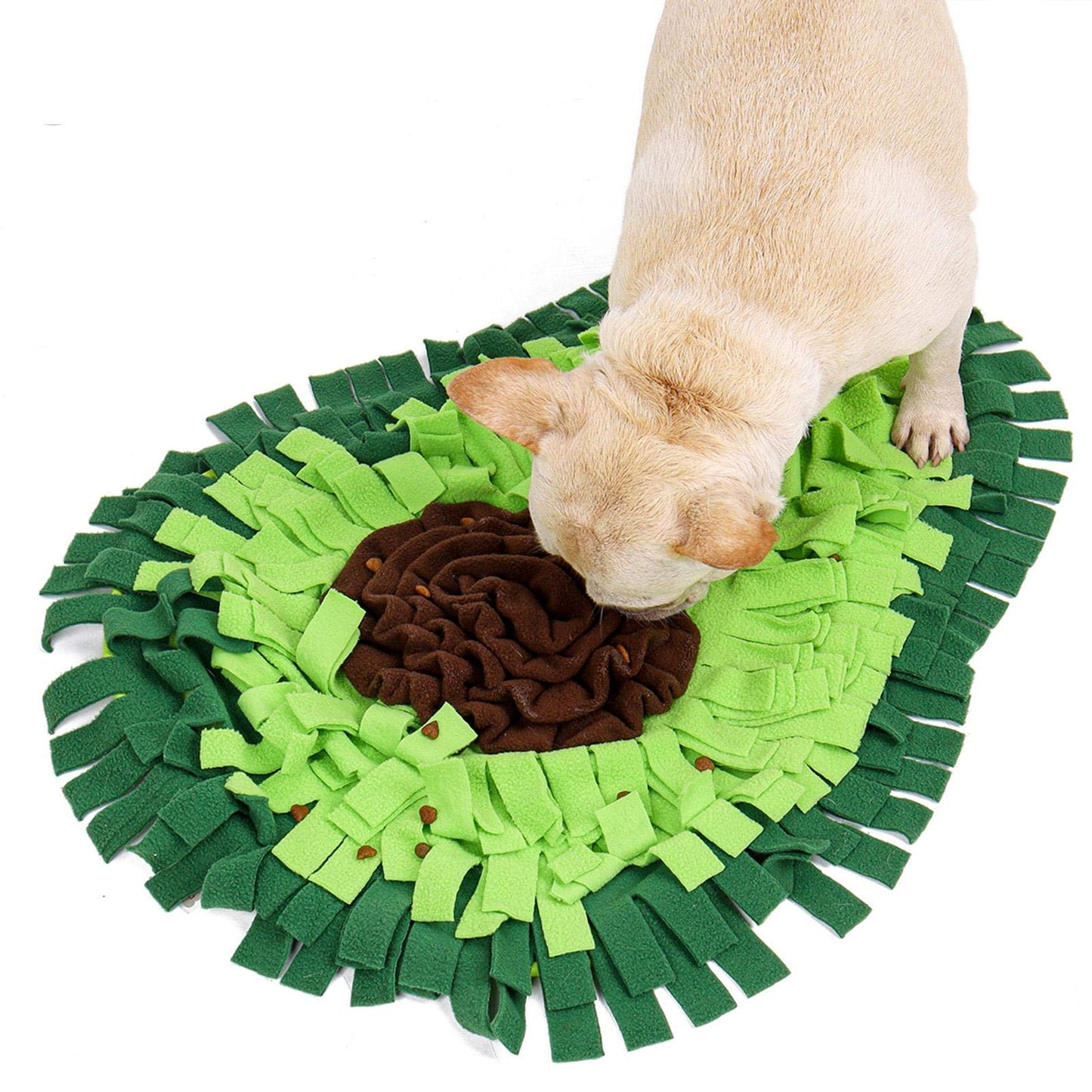 Snuffle Mat — The 15-Minute Anxiety Reset