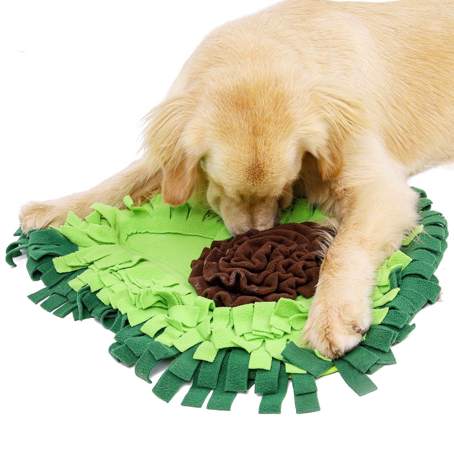 Snuffle Mat — The 15-Minute Anxiety Reset