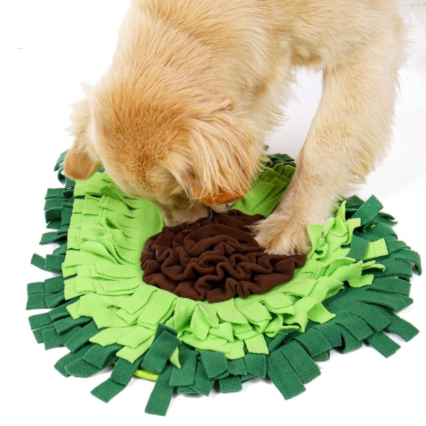 Snuffle Mat — The 15-Minute Anxiety Reset