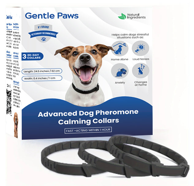Calming Collar — Steady Relief, All Day Long